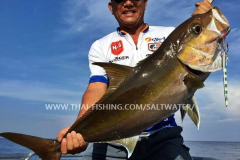 Amberjack Fiskeri Similan Islands Thailand