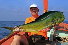 Dorado Fiskeri Khao Lak Thailand