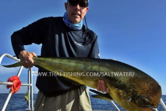 Dorado Fiskeri Similan Islands Thailand