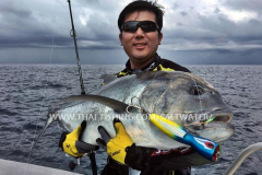 Giant Trevally Fiskeri Similan Islands Thailand