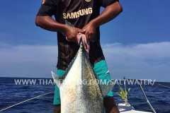 Giant Trevally Fiskeri Similan Islands Thailand