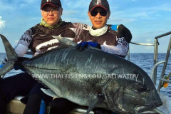 Giant Trevally Fiskeri Similan Islands Thailand