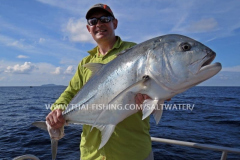 Giant Trevally Fiskeri Similan Islands Thailand