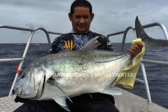 Giant Trevally Fiskeri Similan Islands Thailand