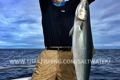 Rainbow Runner Fiskeri Similan Islands Thailand