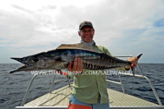 Wahoo Fiskeri Similan Islands Thailand