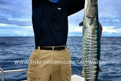 Wahoo Fiskeri Similan Islands Thailand