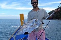 African Pompano Popper Fishing Thailand Khao Lak