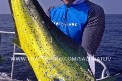 Dorado Fishing Similan Islands Thailand