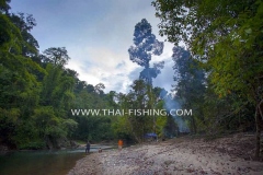 Mahseer-Fluefiskeri-Camping-Tur-Thailand-4