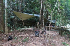 Mahseer-Fluefiskeri-Camping-Tur-Thailand-4