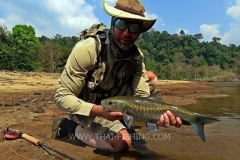 Blue-Mahseer-Fluefiskeri-Thailand