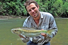 Fluefiskeri-Thailand-Mahseer