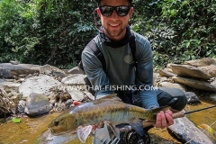 Fluefiskeri-Thailand-Mahseer