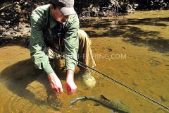 Fluefiskeri-Thailand-Mahseer