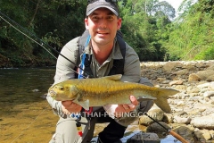 Jungle-Mahseer-Fluefiskeri-Thailand-7