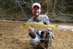 Jungle-Mahseer-Fluefiskeri-Thailand-7