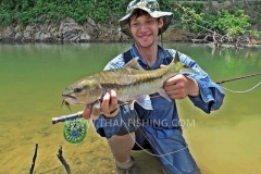 Mahseer-Fluefiskeri-Jungle-Fluefiskeri-Thailand-5