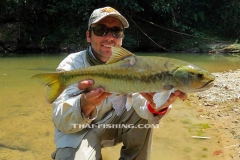 Mahseer-Fluefiskeri-Jungle-Fluefiskeri-Thailand-5