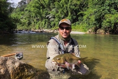 Mahseer-Fluefiskeri-Jungle-Fluefiskeri-Thailand-5