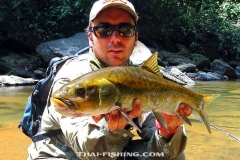 Mahseer-Fluefiskeri-Thailand