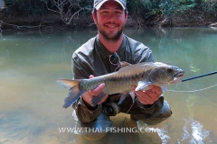 Sight-Fiskeri-Mahseer-Thailand-4