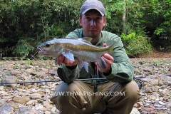 Sight-Fiskeri-Mahseer-Thailand-4