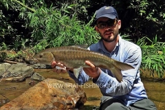 Blue Mahseer Dry Fly Fishing Thailand