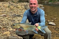 Fly Fishing Mahseer on Dry Fly