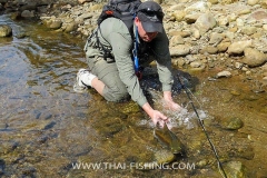 Jungle Mahseer Fly Fishing Thailand