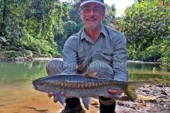 Mahseer Fly Fishing Thailand