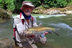 Mahseer Fly Fishing Thailand