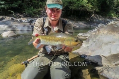 Mahseer Fly Fishing Thailand