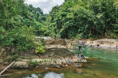 Jungle River Mahseer Fly Fishing  in Thailand