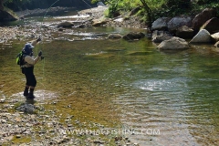 Jungle River Mahseer Fly Fishing Thailand