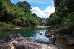 Jungle Rivers Fly Fishing in Thailand