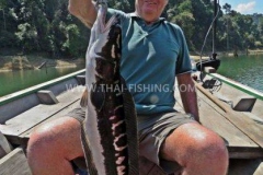 Giant-Snakehead-Fiskeri-Thailand-Jungle-Sø-Fiskeri-3