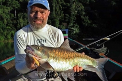 Blue-Mahseer-Spin-fiskeri-Thailand-Jungle-Sø-Fiskeri