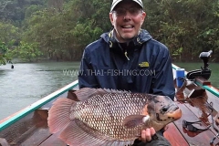 Giant-Gourami-Fluefiskeri-Thailand-Jungle-Sø-Fiskeri