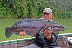 Giant-Snakehead-Fiskeri-Jungle-Sø-Fiskeri-Thailand