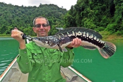 Giant-Snakehead-Fiskeri-Jungle-Sø-Fiskeri-Thailand