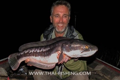 Giant-Snakehead-Fiskeri-Thailand-Jungle-Sø-Fiskeri-3