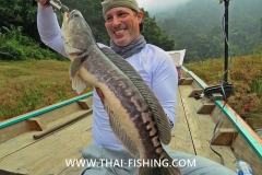 Giant Snakehead - Jungle Fiskeri Thailand