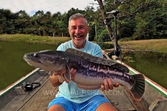 Jungle-Sø-Fiskeri-Thailand-Giant-Snakehead-Fiskeri