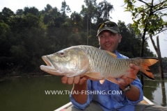 Jungle-Sø-Fiskeri-Thailand-Hampala-Barb-Fiskeri-3