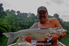 Jungle-Sø-Fiskeri-Thailand-Stor-Thai-Mahseer