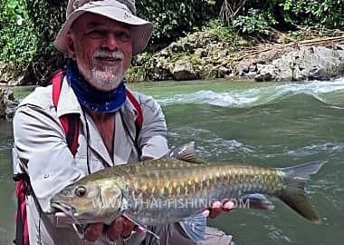 90+ Stocked Thai Freshwater Fish Species Thailand