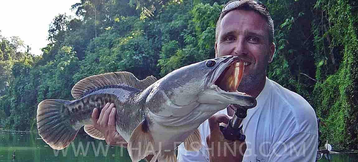 https://www.thai-fishing.com/wp-content/uploads/2023/01/Giant-Snakehead-Fishing-Thailand-Fly-and-Lure-Fishing-with-Thai-Fishing.jpg